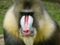 blog_headers_stock