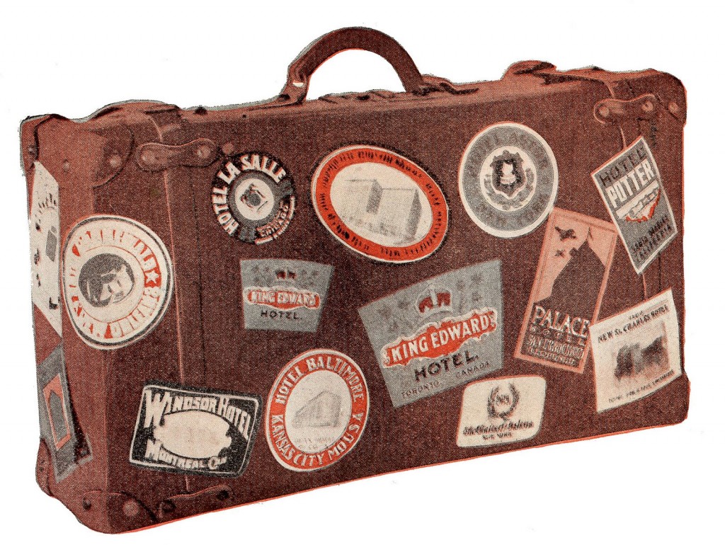 Travel Luggage