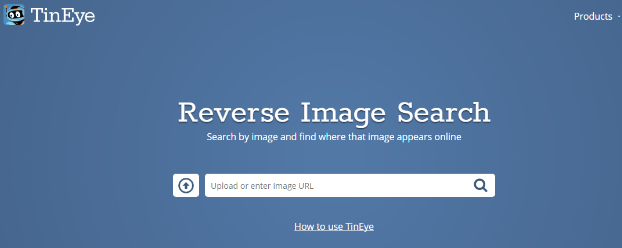 Reverse Image Search Engine