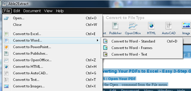 Able2Extract PDF to Word Options