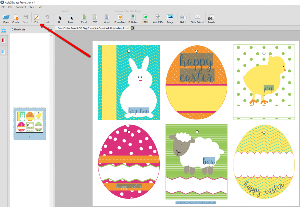 Editing PDF Easter Tags