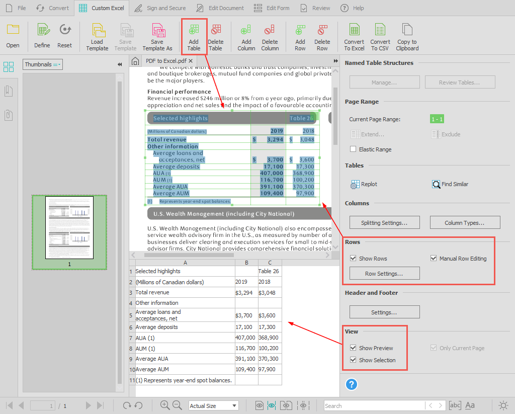 Custom Excel advanced options