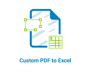 Custom PDF to Excel